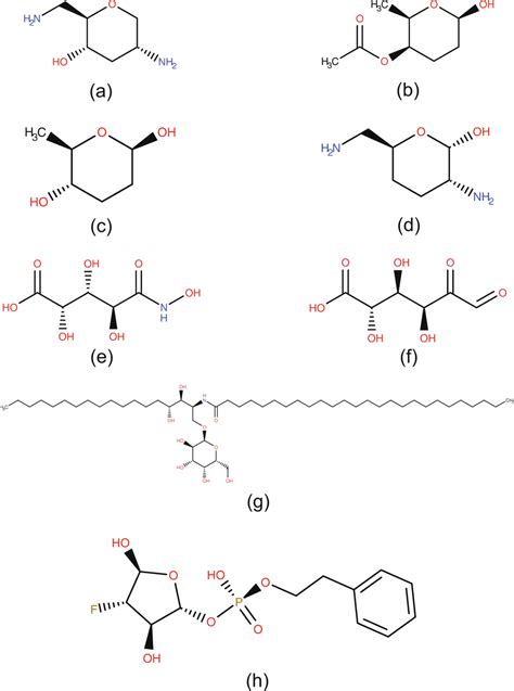 Examples of the saccharide compounds in RCSB PDB Ligand Expo database.... | Download Scientific ...