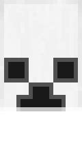 PANDA Minecraft Banner