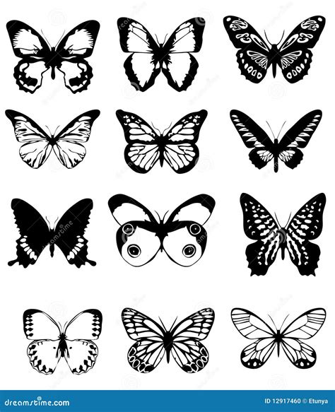 Butterfly collage stock vector. Illustration of single - 12917460