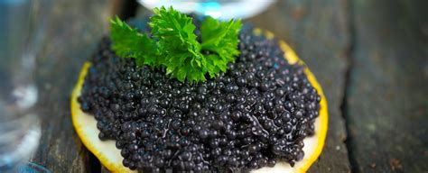 Caviar known internationally as an extravagant delicacy is farmed from the caspian sea as it is ...