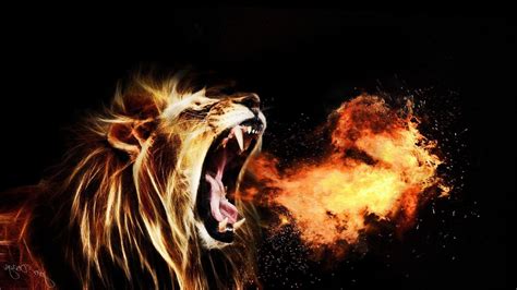 Fire Lion Wallpapers - Top Free Fire Lion Backgrounds - WallpaperAccess