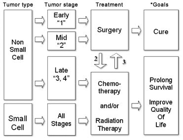 TNM and Staging of Lung Cancer Simplified | Epomedicine