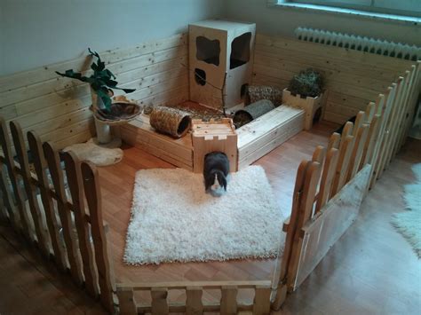 01Rabbit Play Area Rabbit Cages, Bunny Cages, Diy Guinea Pig Cage, Guinea Pig House, Guinea Pigs ...