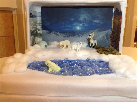 Tundra Diorama Arctic Habitat, Bear Habitat, Biomes Project, Ecosystems Projects, School Crafts ...