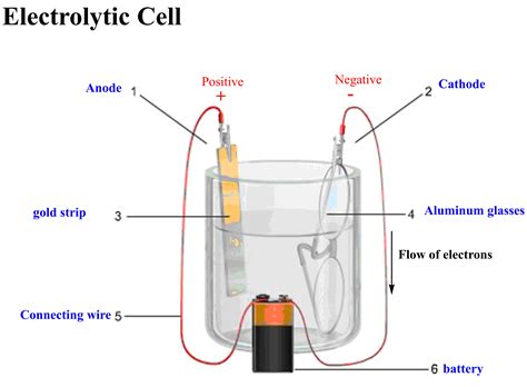 [Solved] The diagram shows an electrochemical cell with a gold strip (left)... | Course Hero