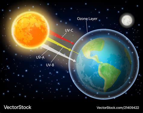 Uv radiation diagram realistic Royalty Free Vector Image