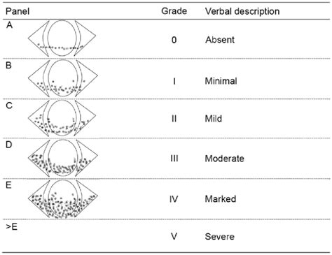 Grading of corneal and conjunctival staining (Oxford scheme). | Download Scientific Diagram