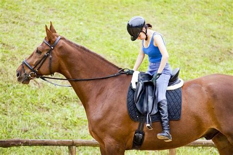 12 Beginner Horse Riding Exercises - Seriously Equestrian