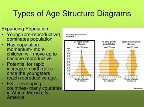 4 General Types Of Age Structure Diagrams Age Structure Diag