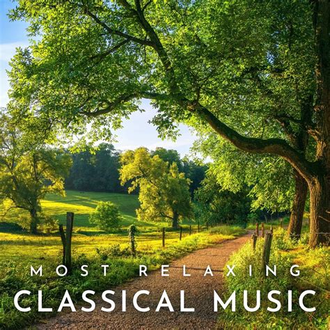 The Most Relaxing Classical Music Pieces - Halidon