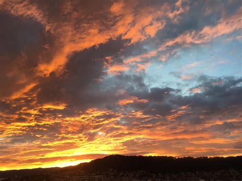 Sunrise over Mount Victoria this morning, right out my window : r/Wellington