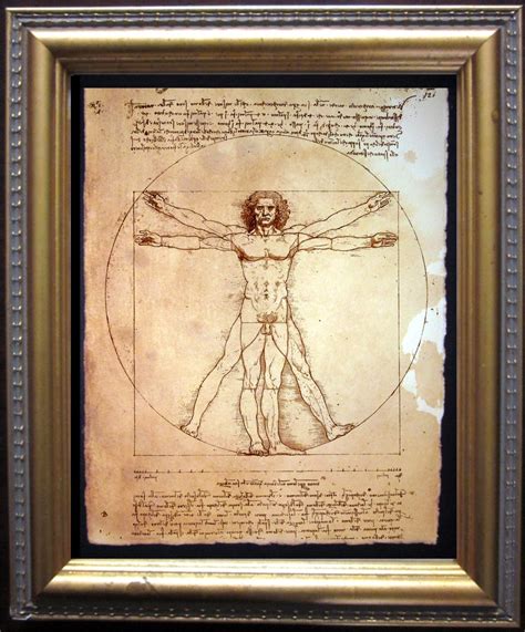 Vitruvian Man Leonardo Da Vinci Anatomy Print on Tea Stained - Etsy Canada