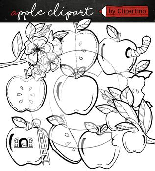 Apple clipart Bundle +black white by Clipartino | TpT