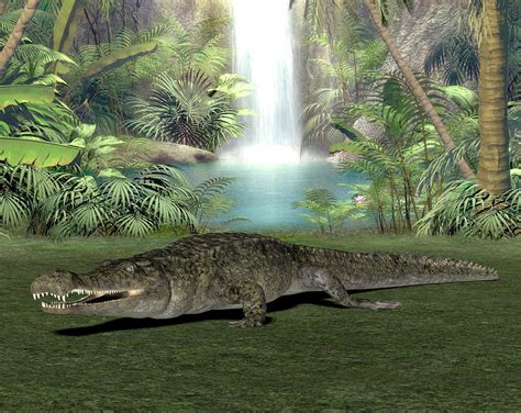 Sarcosuchus Prehistoric Crocodile Photograph by Friedrich Saurer - Pixels