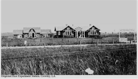 Crowley, Louisiana - Original Rice Research Station 1911 | Louisiana ...
