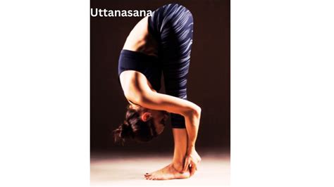 Uttanasana Benefits: What Best you can Get from Uttanasana - flymehigh.org