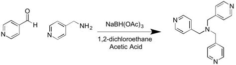 Can someone help me with the full mechanism of this reductive amination reaction? Does this go ...