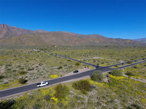 Borrego Springs Wildflowers - Drone Photography