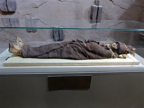 Tarim Mummies from China May be Ancestors of Native Americans ...