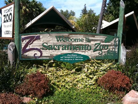 An Exclusive Offer for Sacramento Zoo Attendees from William Land Golf Course - Haggin Oaks