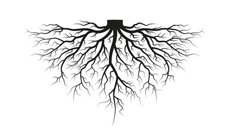 Root Of The Tree Black Silhouette Vector Illustration Stock Illustration - Download Image Now ...
