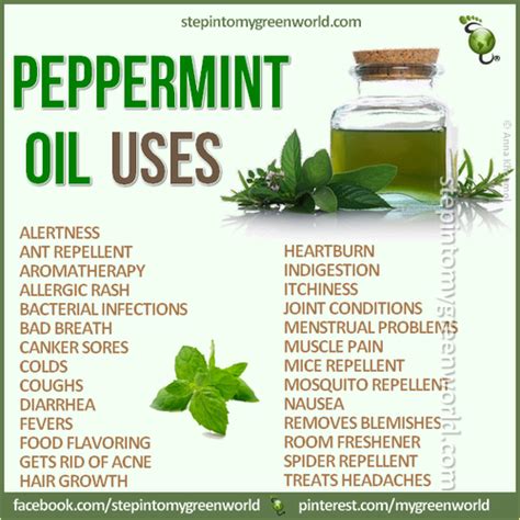 Uses for peppermint oil | Peppermint oil benefits, Peppermint oil uses, Pepermint oil uses