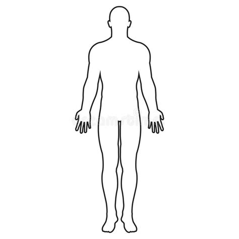 Body Human Outline Stock Illustrations – 60,845 Body Human Outline Stock Illustrations, Vectors ...