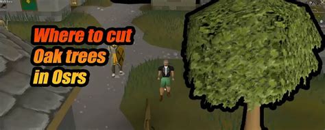 Best Places to Chop Oak Trees in OSRS