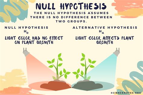 Null Hypothesis Examples