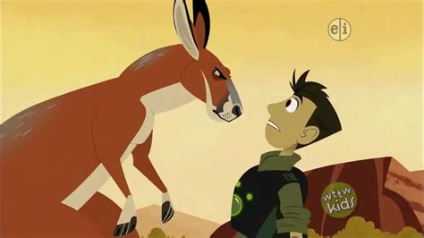 Wild Kratts Season 1 Episode 21 – Falcon City | Watch cartoons online, Watch anime online ...