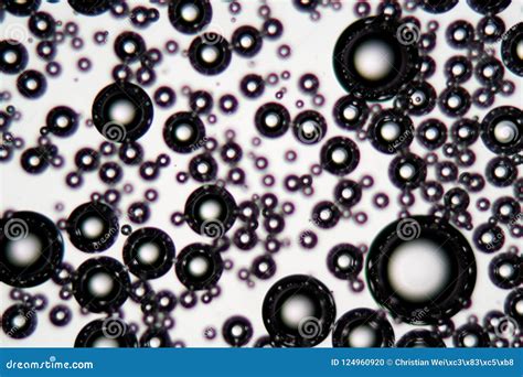 Air Bubbles in an Surfactant Fluid Under a Microscope Stock Photo - Image of detail, chemistry ...