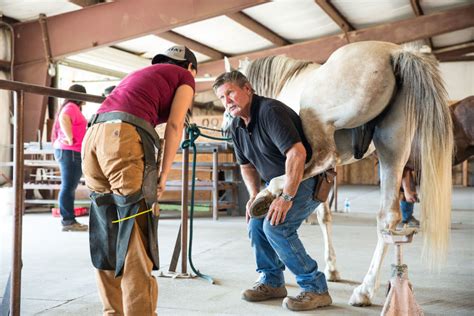 Oral Arguments Set for Farrier School’s Lawsuit Against California