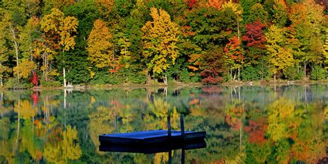 Your Berkshires Fall Foliage Guide | Stone House Properties