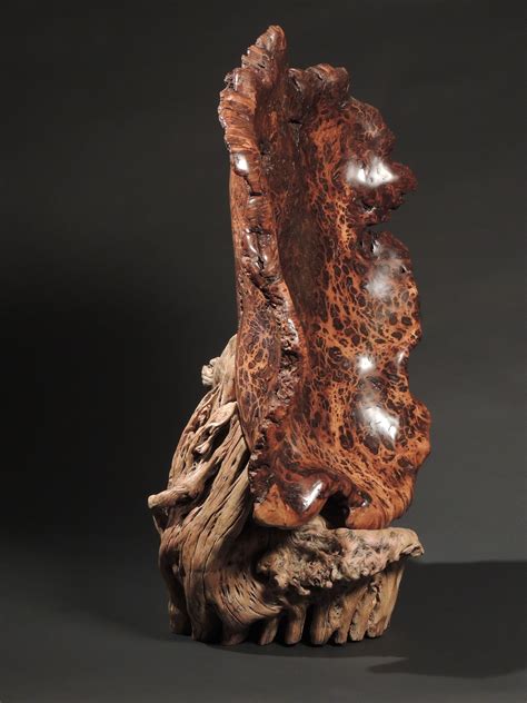 #5 Large Oak burl with Saguaro cactus stand. by john Hoyt | Wood artist, Wood sculpture, Bamboo art