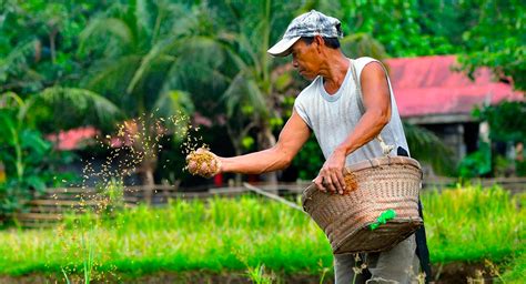 DavaoPlus: [New post] Farmers And Fresh Graduates Receive Land Titles From DAR