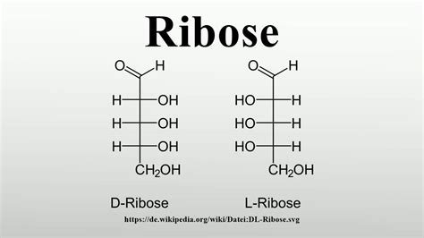 Ribose Structural Chemical Formula And Model Of Ribose 2d And 3d ...