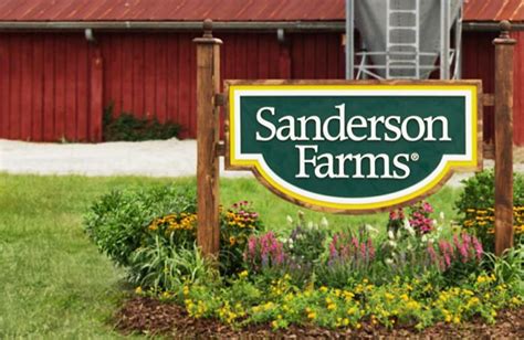 Sanderson Farms net income, net sales up in FY 2017 | WATTAgNet | WATTPoultry