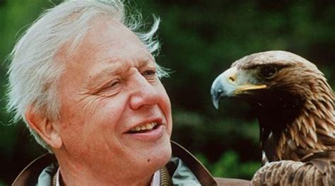 REVIEW: Sir David Attenborough documentary 'A Life On Our Planet ...