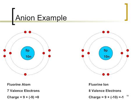 Difference between Cations and Anions: Definition, Type of Element and Examples