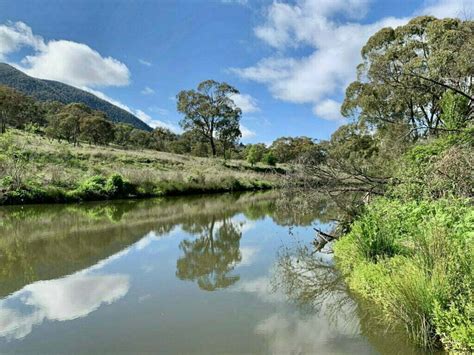 Photo monitoring your restoration project – a guide for landholders ...