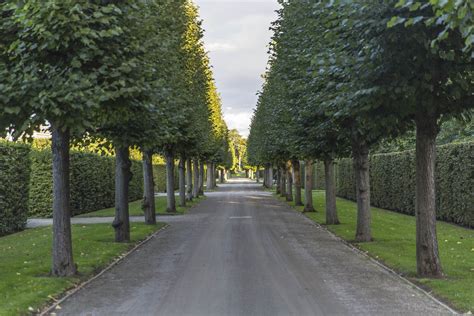 Royal Gardens of Herrenhausen in Hannover - Germany - Blog about ...