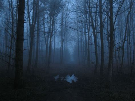 Creepy Foggy Wallpapers on WallpaperDog