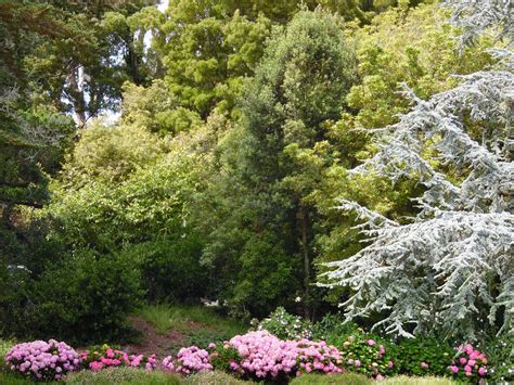 Classic Golden Gate Park Free Stock Photo - Public Domain Pictures