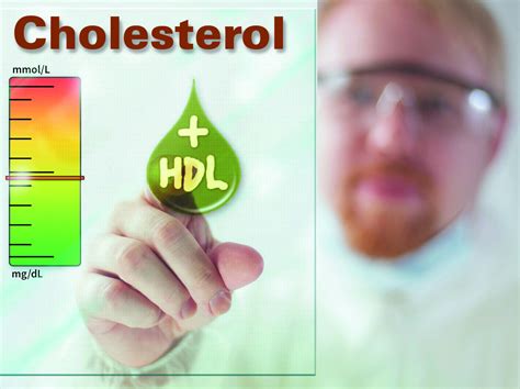 How Can I Raise My Hdl : What foods increase good cholesterol ...