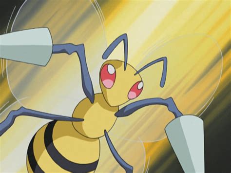 Trainer's Beedrill | Pokémon Wiki | Fandom