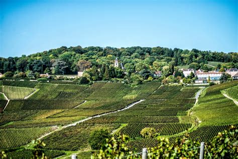 Six of the best: Champagne vineyards to visit | Secret Trips