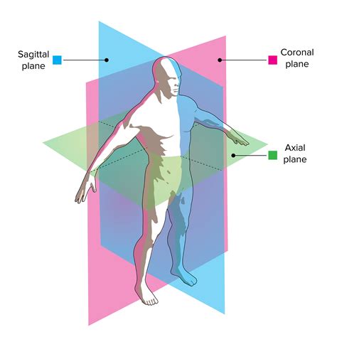 What Is Sagittal Plane