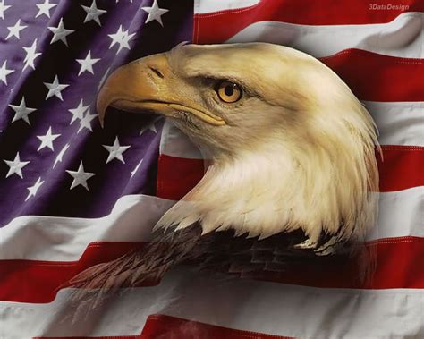 American Flag with Eagle Wallpaper - WallpaperSafari