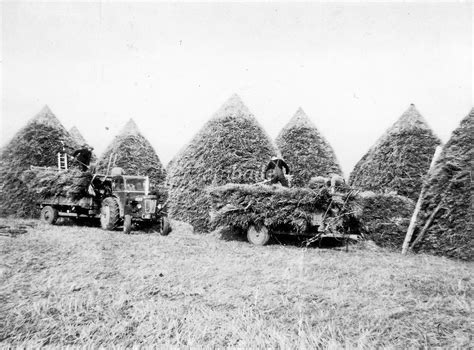 Am Baile - Highland History & Culture on Twitter: "Harvest time at ...