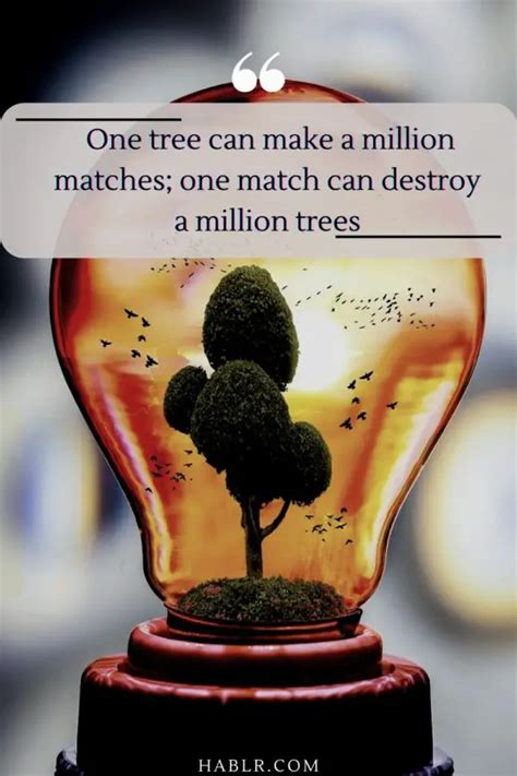 25 Encouraging Quotes On Save Trees To Prevent Global Warming